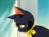 films_090.jpg