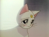films_273.jpg