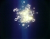 venus_066.jpg